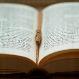 Open book with curated bookmark
